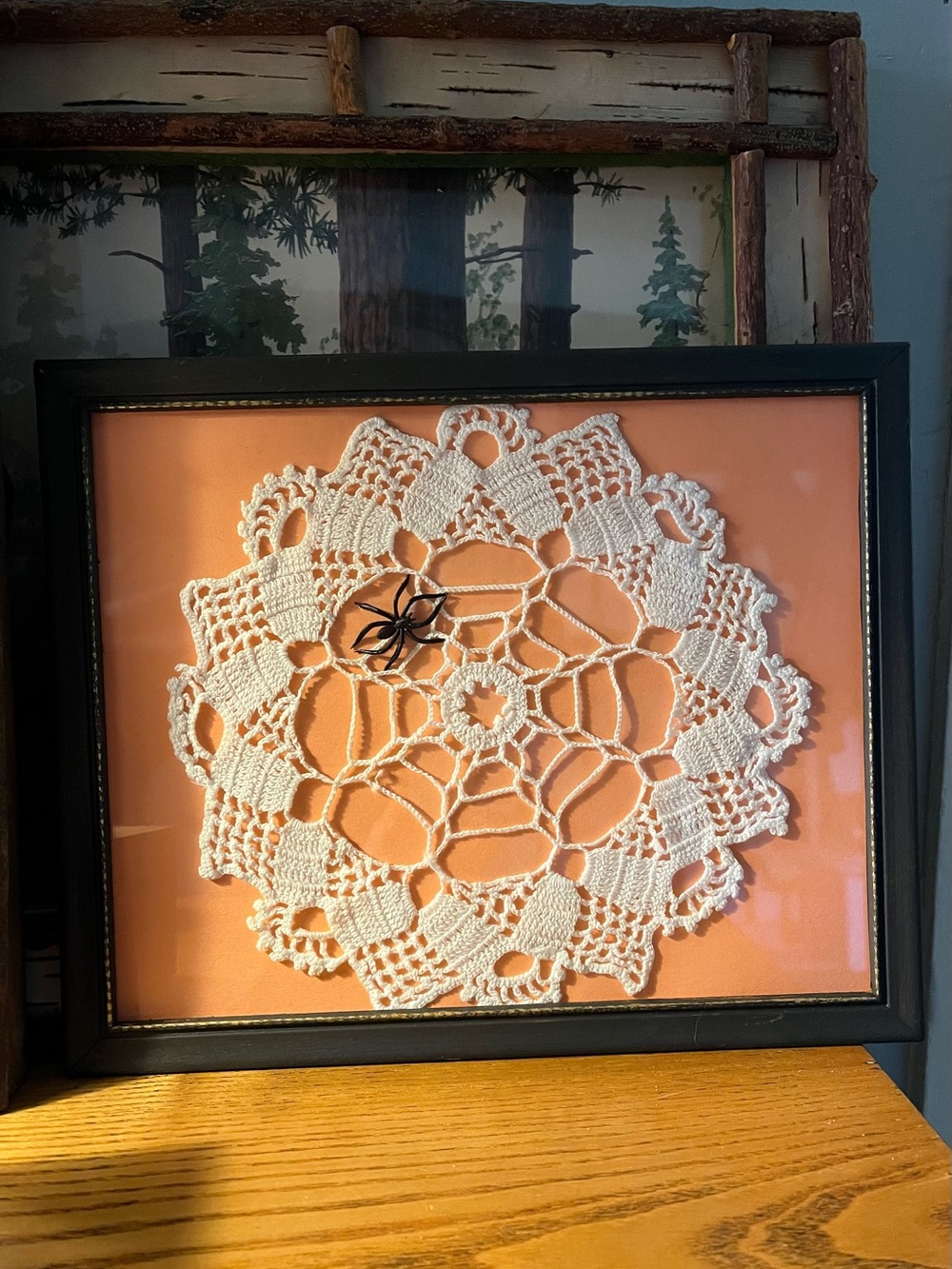 Crochet doily spider framed art craft Halloween